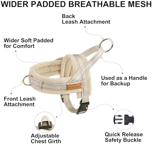 BEAUTYZOO Dog Harness for Large Dogs, No Pull Step in Pet Vest and Leash Set - Image 6