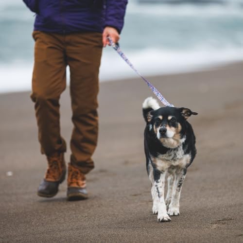 Ruffwear, Front Range Dog Leash, 5 ft Lead, Wildflower - Image 4