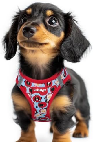 rabbitgoo Step-in Small Dog Harness, Puppy Vest by rabbitgoo