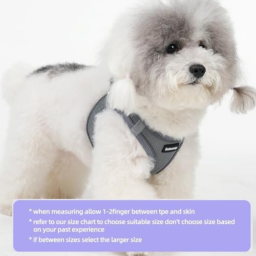 Solmoony Sparkly Small Dog Harness and Leash Set, Step in Soft Light Puppy Vest - Image 2