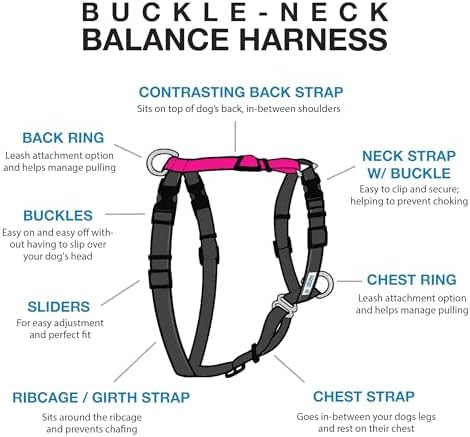 Blue-9 Balance Harness® for Dogs, Buckle-Neck, Hot Pink - Image 2