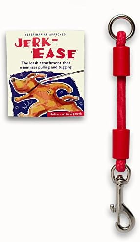 BUNGEE DOG LEASH EXTENSION – Patented Shock Absorber Attachment Protects You by Jerk-Ease