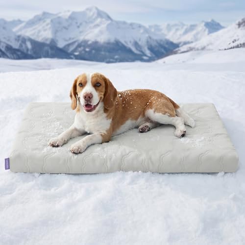LE SURE ApexCloud™ Cooling Dog Bed by Lesure