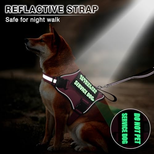 Service Dog Vest Harness and Leash Set+10 Patches, No Pull&Easy Walk Reflective - Image 4