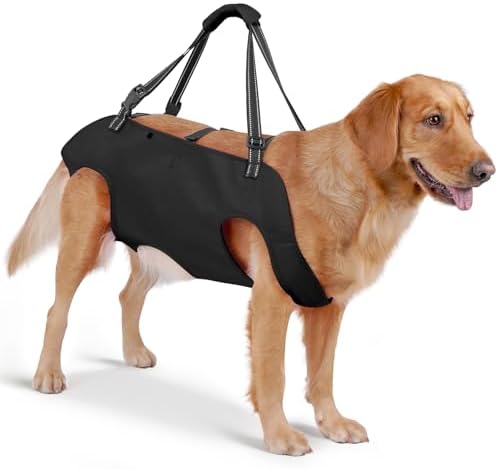 Mayerzon Full Body Dog Lift Harness, Support Senior & Disabled Dogs Walking by Mayerzon