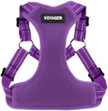 Voyager Step-in Flex Adjustable Dog Harness by BestPetSuppliesLLC