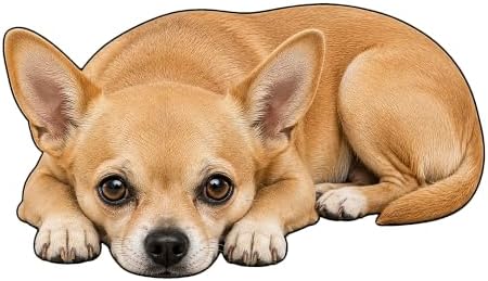 3D Realistic Dog Shaped Bath Mat & Floor Rug by MOFABIA