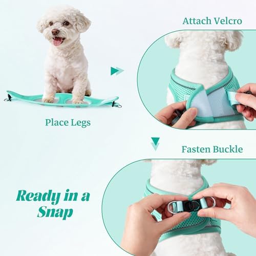 No Pull Dog Puppy Harness and Leash Set Reflective Mesh Vest X-Small - Image 4