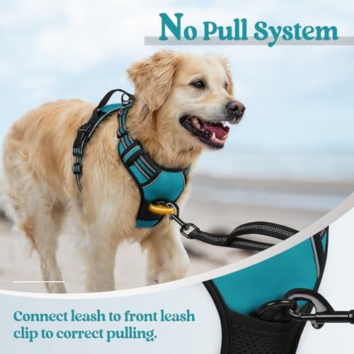 rabbitgoo Dog Harness, No Pull for Large Dogs - Image 5