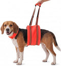 PAWsay Adjustable Dog Sling for Medium Dog Hind Leg Support by PAWsay