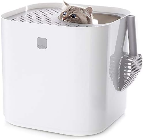 Modkat Top-Entry Cat Litter Box, Leak-Proof, Liner & Scoop by Modkat