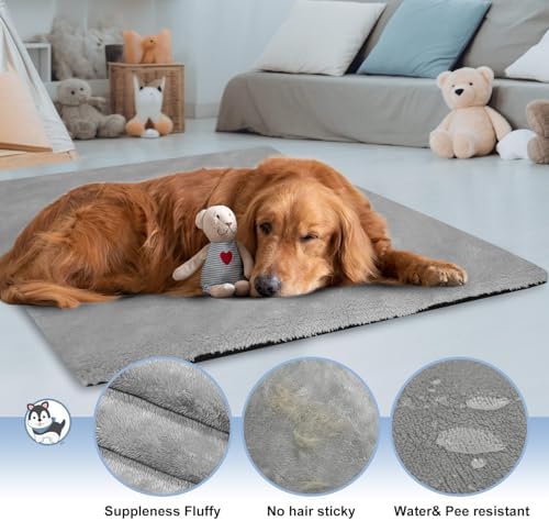 Explore Land Dog Crate Pan Cover - Image 2