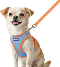 rabbitgoo Dog Harness Small Sized and Leash Set, Step in Soft Vest by rabbitgoo