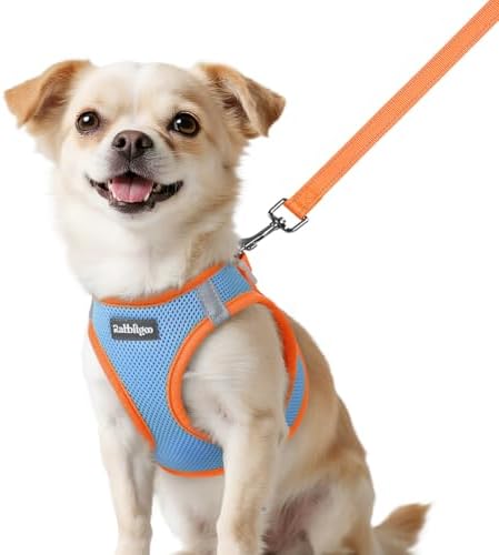 rabbitgoo Dog Harness Small Sized and Leash Set, Step in Soft Vest by rabbitgoo
