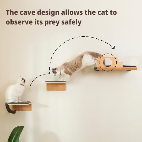 LIORCE Cat Wall Shelves with 2 Steps, Creative Design Cat Shelf with Peephole - Image 2