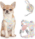 Pawaboo Small Dog Harness and Leash Set, Puppy Harness X-Frame Adjustable by Pawaboo
