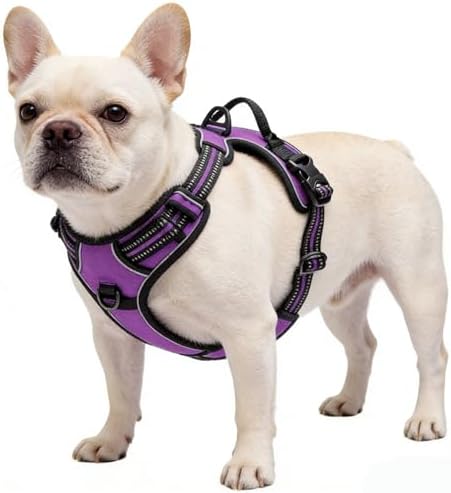 Purple No-Pull Dog Harness by Unknown