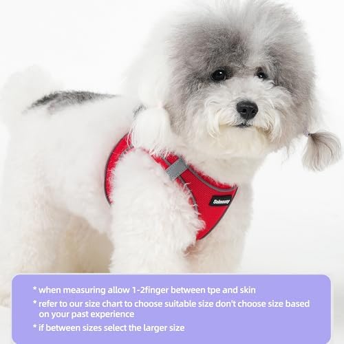 Solmoony Sparkly Medium Dog Harness and Leash Set, Step in Soft Light Puppy Vest - Image 2
