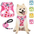 BEAUTYZOO Dog Harness Medium Sized and Leash Set, No Pull Pet Vest by BEAUTYZOO