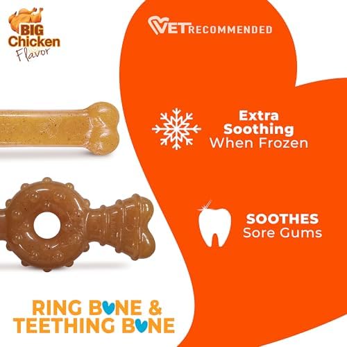 Nylabone Puppy Chew Teething Bone Dog Chew Toys, Chicken Flavor - Image 6