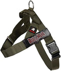 BULLHUG Adjustable Dog Harness– No Pull, No Choke – by BULLHUG
