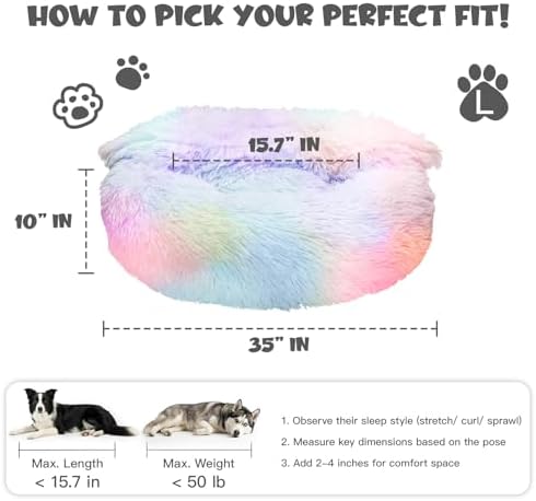 Himax Covered Large Dog Bed - Image 2