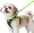 rabbitgoo Dog Harness Small Sized and Leash Set, Step in Soft Vest by rabbitgoo