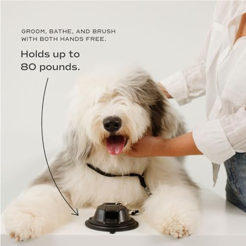 Pupwell Stay in Place and Heavy Duty Suction Cup Dog Leash to Keep Them in Place - Image 2