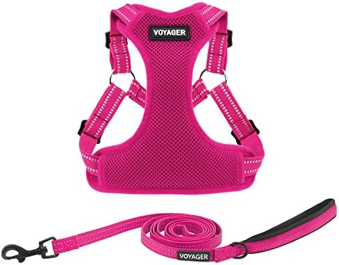 Best Pet Supplies Voyager Adjustable Step-in Flex Breathable Mesh Dog Harness by BestPetSuppliesLLC