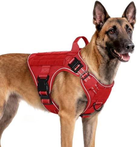 rabbitgoo Tactical Dog Harness for Medium, Heavy Duty Military No Pull Vest by rabbitgoo