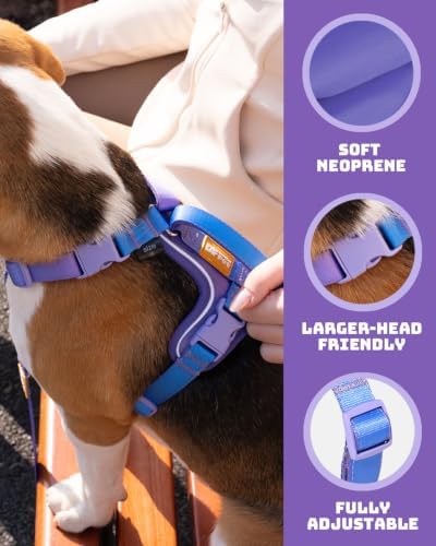 DF Freedom No Pull Martingale Dog Harness, Gentle Control - Image 3