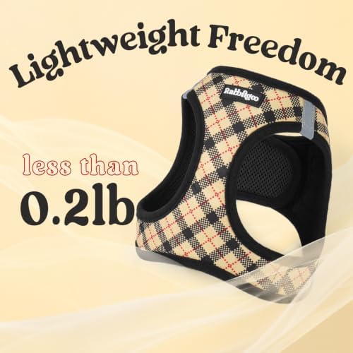 rabbitgoo Dog Harness Small Sized and Leash Set, Step in Soft Vest - Image 7