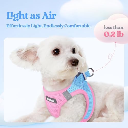 rabbitgoo Dog Harness Small Sized and Leash Set, Step-in Puppy Pet Vest - Image 4