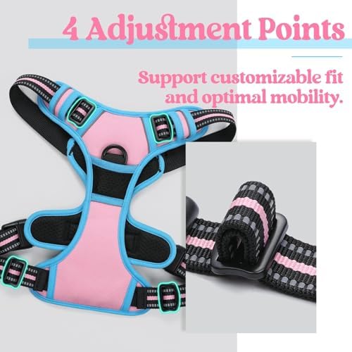rabbitgoo Dog Harness, No Pull Medium Sized - Image 3
