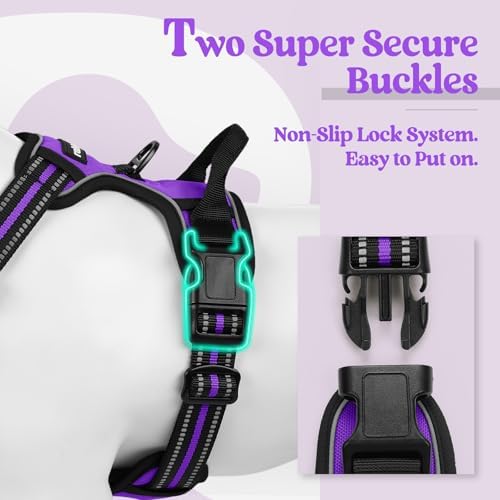 rabbitgoo Dog Harness, No Pull for Large Dogs - Image 3