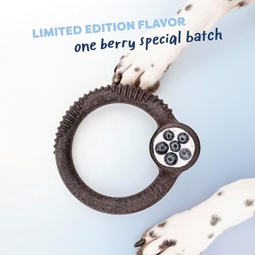 Benebone Blueberry Small 4-Pack Dog Toys, Under 30 lbs - Image 5