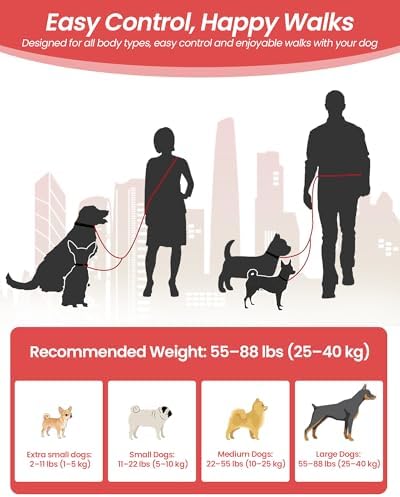 3-in-1 Double Dog Leash, Hands-Free Convertible Leash - Image 4