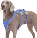 Huntboo Escape Proof Dog Harness, No Pull Reflective Harness by Huntboo