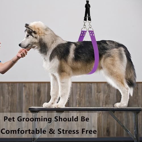 Pet Dog Grooming Belly Strap – 2 Inch Wide Waterproof Strong PVC Support Band - Image 6