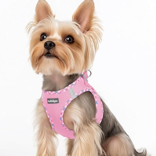 rabbitgoo Step-in Small Dog Harness, Puppy Vest by rabbitgoo