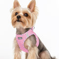 rabbitgoo Step-in Small Dog Harness, Puppy Vest by rabbitgoo