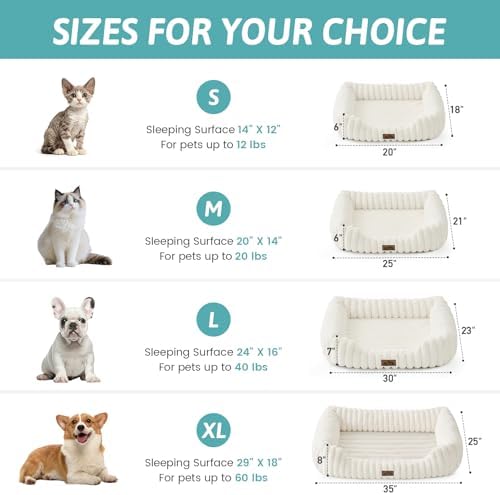 Cute Pet Bed for Small Dogs & Cats - Image 2