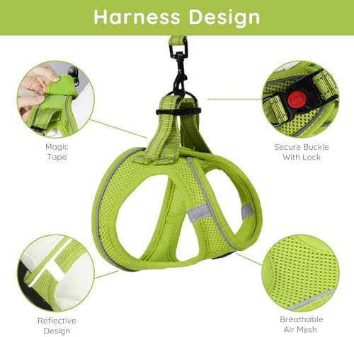BELLA & PAL Step in Puppy Harness and Leash Set - Image 2