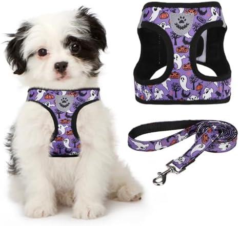 KOOLTAIL Halloween Dog Harness and Leash Set by KOOLTAIL