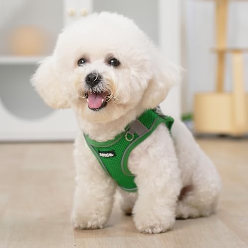 AIITLE Medium Dog Harness and Leash Set, Step-in Puppy Pet Vest - Image 6