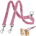 MingXpet 2 Dog Leash, Dog Leash by MingXpets