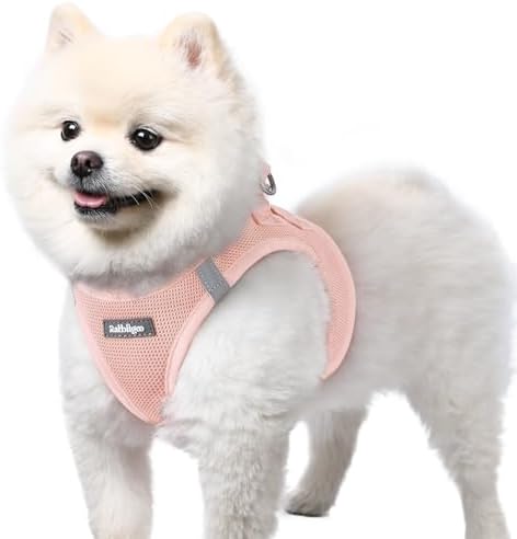 rabbitgoo Step-in Small Dog Harness, Puppy Vest by rabbitgoo