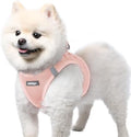 rabbitgoo Step-in Small Dog Harness, Puppy Vest by rabbitgoo