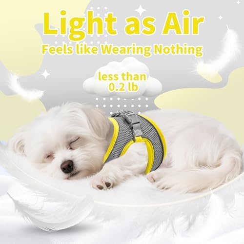 AIITLE Medium Dog Harness and Leash Set, Step-in Puppy Pet Vest - Image 4