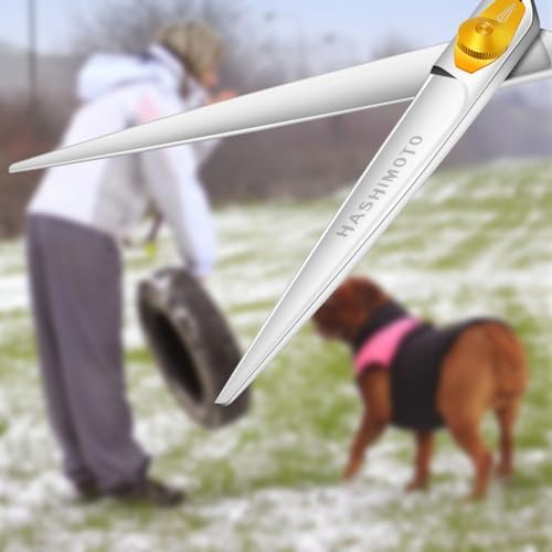 HASHIMOTO Straight Dog Grooming Scissors, 7.0 inch, Light Weight, Ergonomically - Image 3